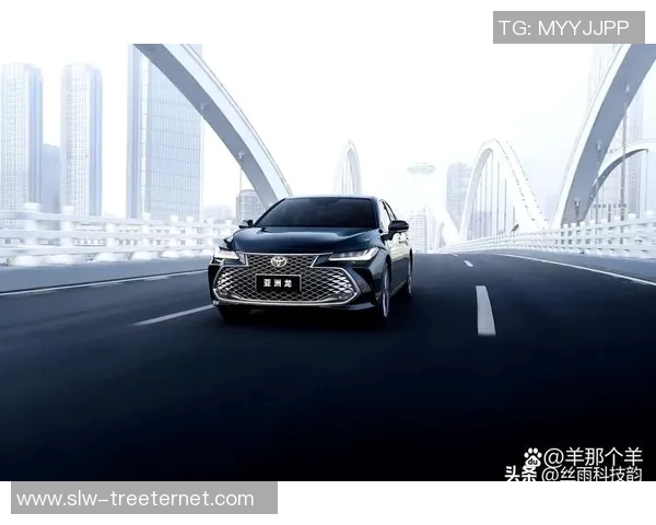 广州乒乓球队在洲际杯积分榜上以95分稳居第一名展现强劲实力