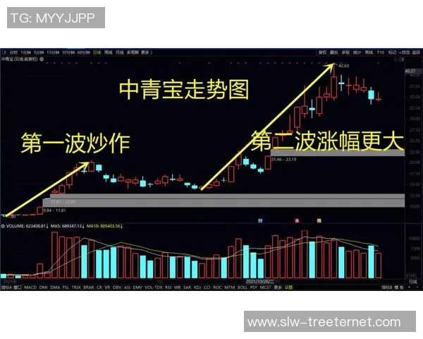 广州网球队战术探讨：如何提升竞技水平与团队协作能力