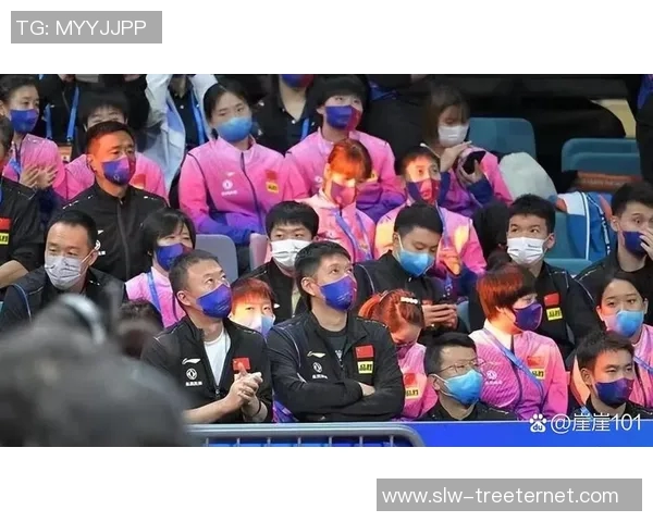 西安乒乓球队意识提升之路与发展策略的深入探讨