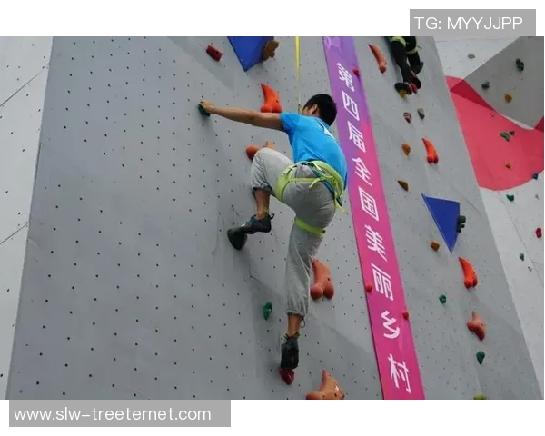 武汉攀岩队在全国攀岩团队协作排行榜中荣获第十名的佳绩